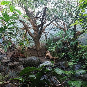 Rakos house - Philippine exhibit