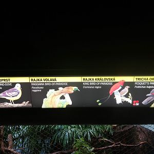 Rakos house - Signage example