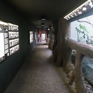 Rakos house - Corridor