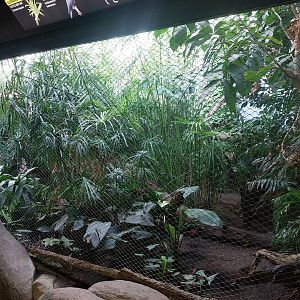 Rakos house - Pantanal aviary