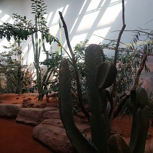 Rakos house - Caatinga aviary