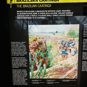 Rakos house - signage example