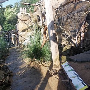 Rakos house - Patagonian aviary