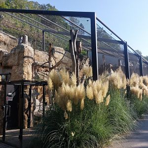 Rakos house - Patagonian aviary