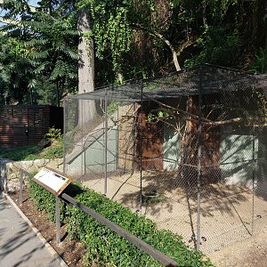 Slender-billed parakeet aviary