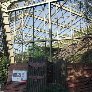 Raptor aviary
