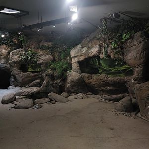 Velemlokarium / giant salamander house
