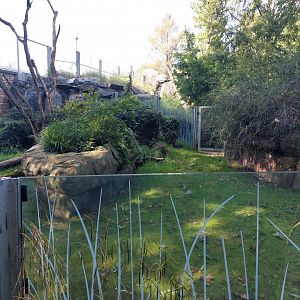 Darwin's crater - wombat enclosure