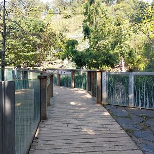 Darwin's crater - pathway