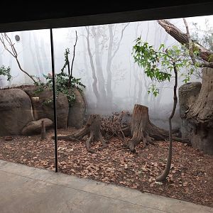 Darwin's crater - Long-nosed potoroo & echidna exhibit