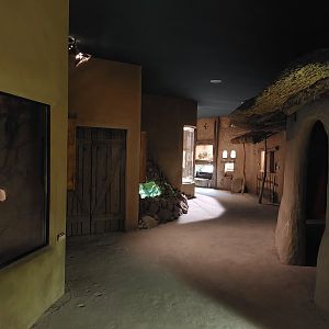 Africa up close - general view