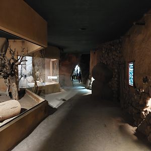 Africa up close - general view