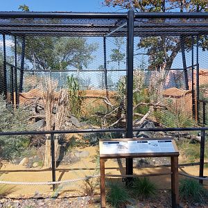 Gobi - Second manul enclosure