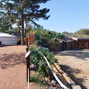 Gobi - Przewalski horse enclosure