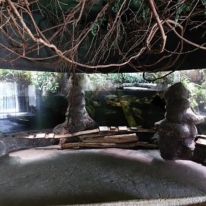 Indonesian house - entry hall