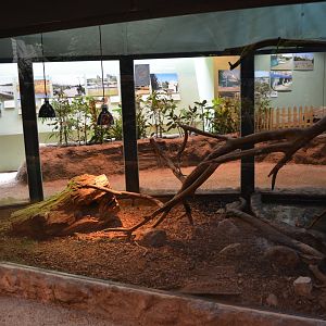 Mekong River - Enclosure for Asian water monitors