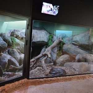 Mekong River - Enclosure for reticulated python