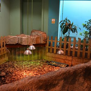 Mekong River - Enclosure for asian brown tortoises