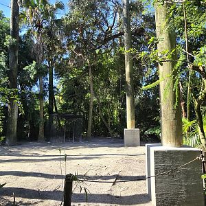 Canopy Aviary - open space (demolished observation deck)