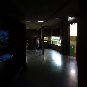 Overview of the Aqua-Terrarium