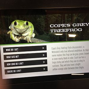 Example Signage after Renovation