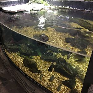 Freshwater Tank with Open Top