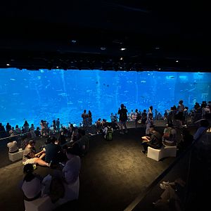 4.8 Million Gallon Open Ocean Habitat