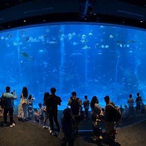 4.8 Million Gallon Open Ocean Habitat