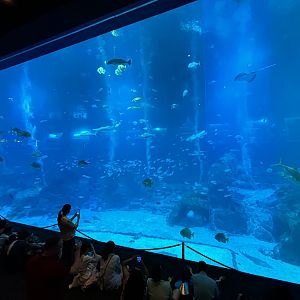 4.8 Million Gallon Open Ocean Habitat