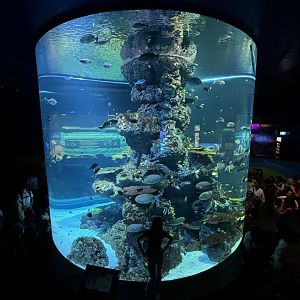 Reef Exhibit