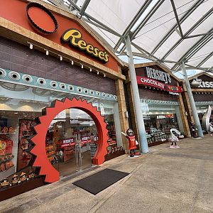 Chocolates!! - crazy expensive