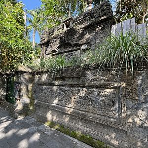 Small-clawed Otter Exhibit