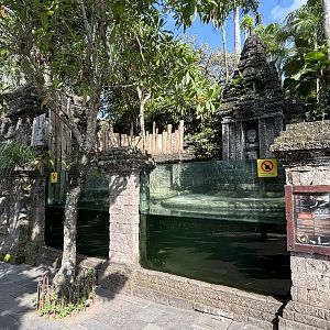 False Gharial Exhibit