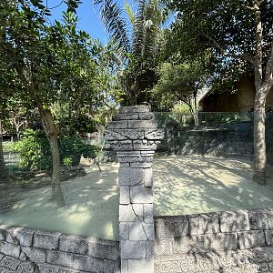 False Gharial Exhibit