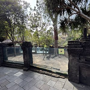 False Gharial Exhibit