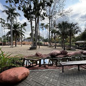Zebra + Sitatunga Exhibit