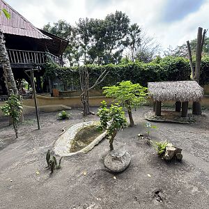 Cassowary Exhibit #2