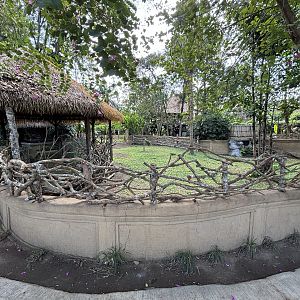 Malayan Tapir Exhibit