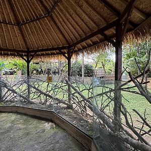 Malayan Tapir Exhibit