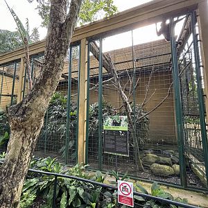 Agile Gibbon Exhibit