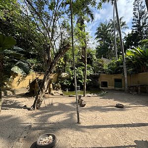 Dusky Pademelon Exhibit
