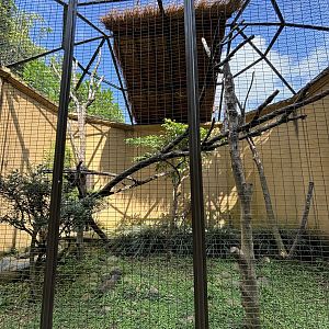 Masked Palm Civet Exhibit
