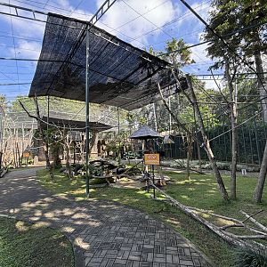 Walk-through Lemur/Hornbill/Mouse-deer Exhibit