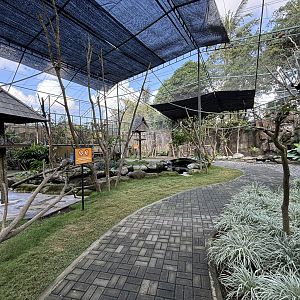 Walk-through Lemur/Hornbill/Mouse-deer Exhibit
