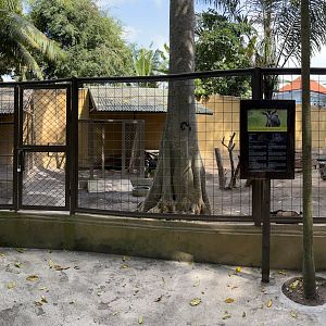 Czech Shorthair Goat Exhibit