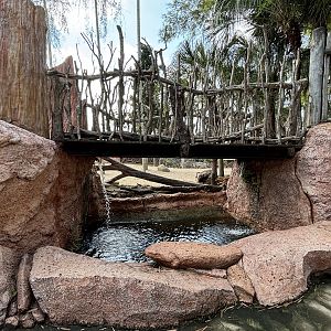 African Savanna Bridge + Pond