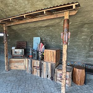 Corn Snake Exhibit - in the TV!