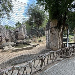 Striped Hyena Exhibit