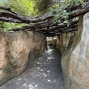 African Savanna - walkway