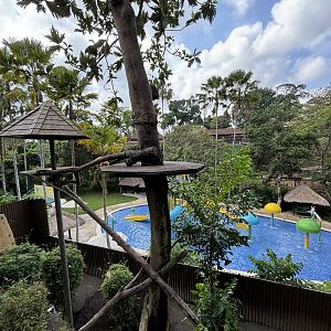 Binturong Exhibit #1 + Waterpark